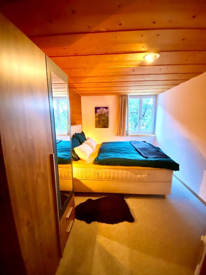 Appartement Aareschlucht- Grandiose Aussicht Fuer 2-6 Pers. Meiringen Bagian luar foto