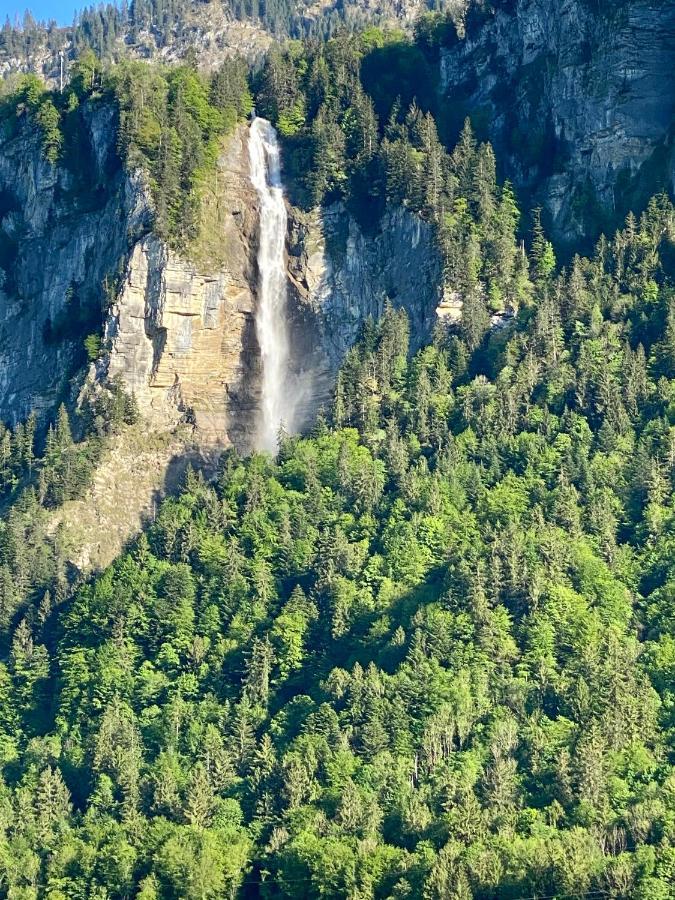 Appartement Aareschlucht- Grandiose Aussicht Fuer 2-6 Pers. Meiringen Bagian luar foto