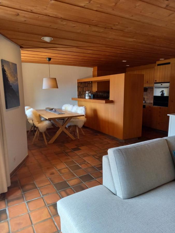 Appartement Aareschlucht- Grandiose Aussicht Fuer 2-6 Pers. Meiringen Bagian luar foto