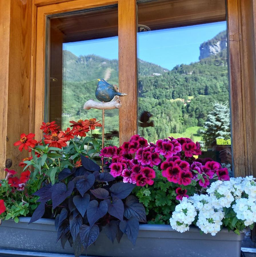 Appartement Aareschlucht- Grandiose Aussicht Fuer 2-6 Pers. Meiringen Bagian luar foto